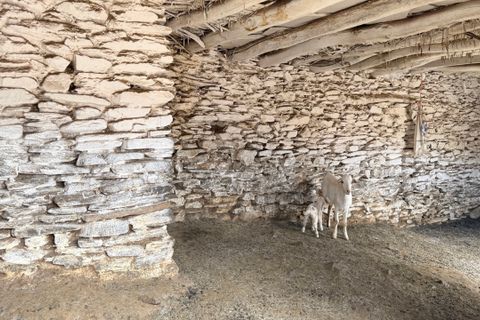 Finca i Tices, Almeria, Tices - € 8.000.000 | Ref: GVCFNSC - foto 26
